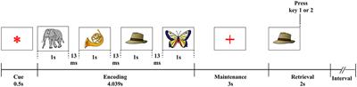 Alterations in Neural Networks During Working Memory Encoding Related to Cognitive Impairment in Temporal Lobe Epilepsy
